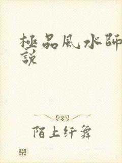 极品风水师 小说