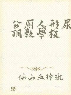 公厕人形尿便器调教学校