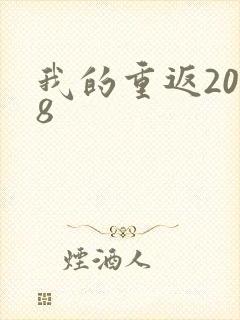 我的重返2008
