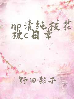 np清纯校花的被c日常