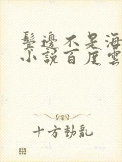 鬓边不是海棠红小说百度云