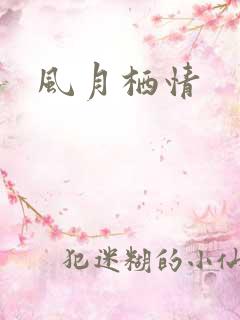 风月栖情