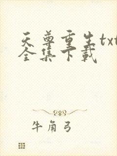 天尊重生txt全集下载