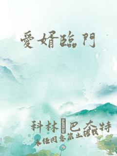 爱婿临门