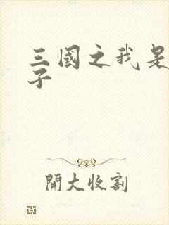 三国之我是皇太子