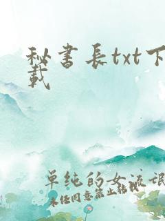 秘书长txt下载
