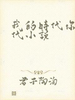 我的时代你的时代小说