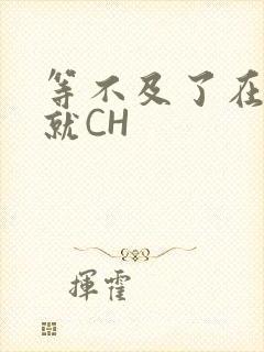 等不及了在车里就CH