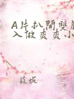 A片扒开双腿进入做爽爽小说