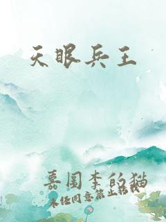 天眼兵王