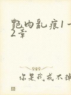 艳肉乱痕1一12章