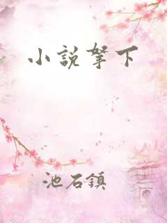 小说拿下