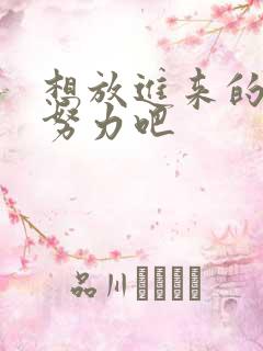 想放进来的话就努力吧