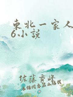 东北一家人1一6小说