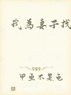 我为妻子找男妓