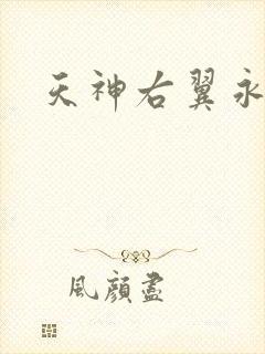 天神右翼永恒