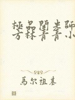 极品开光师李南方林青青小说叫