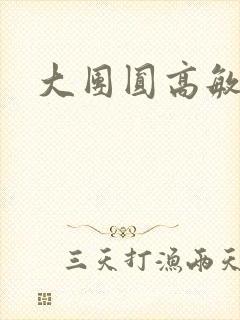大团圆高敏