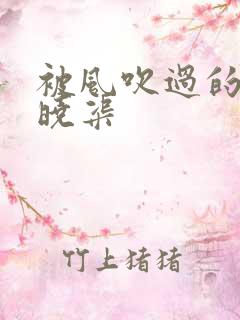 被风吹过的夏天晓渠