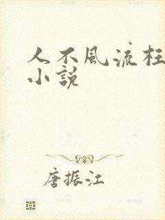 人不风流枉少年小说
