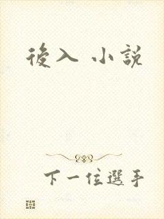 后入 小说