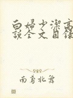 白妇少洁高义小说全文目录