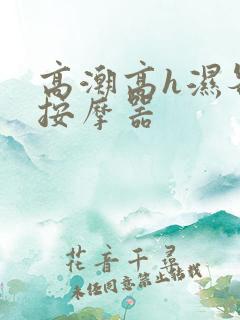 高潮高h湿各种按摩器