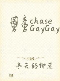 国产chase男男GayGay