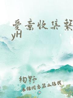 爱意收集系统jyH