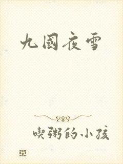 九国夜雪