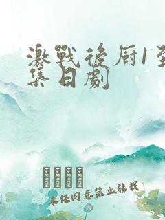 激战后厨1至5集日剧