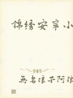 锦绣安宁小说