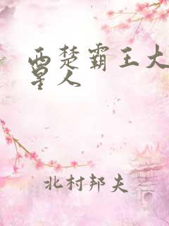 西楚霸王大战外星人