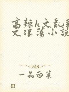 高辣h文乱乳h文浪荡小说苏柔