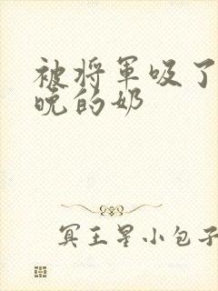 被将军吸了一整晚的奶