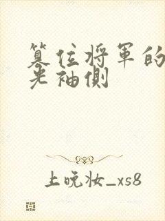 篡位将军的白月光袖侧