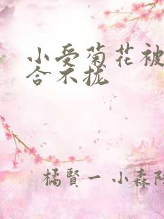 小受菊花被双龙合不拢