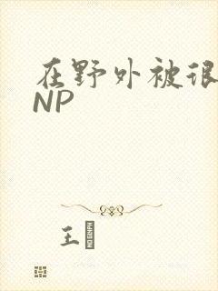 在野外被很多人NP