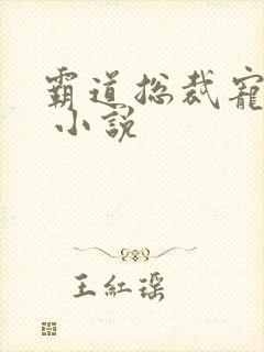 霸道总裁宠上天 小说