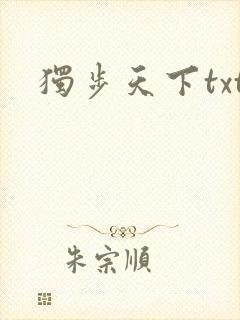 独步天下txt
