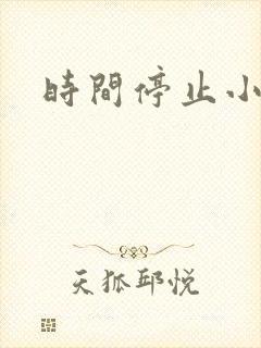 时间停止小说