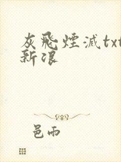 灰飞烟灭txt新浪
