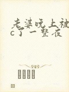 老婆晚上被躁狂c了一整夜