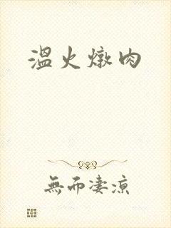 温火炖肉