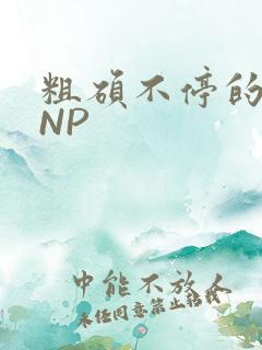 粗硕不停的进出NP