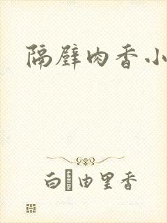 隔壁肉香小说
