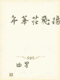 年华庄飞扬