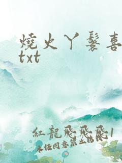 烧火丫鬟喜洋洋txt