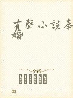 有声小说奉子成婚