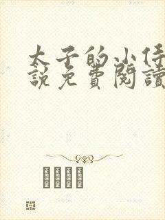 太子的小侍妾小说免费阅读全文